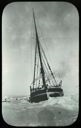 Image of S.S. Roosevelt in the Ice